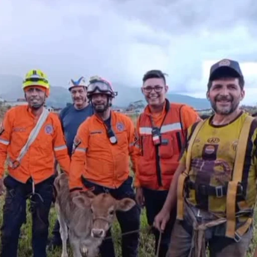 Dos hombres y un ternero rescatados de una ladera en municipio Andrés Bello