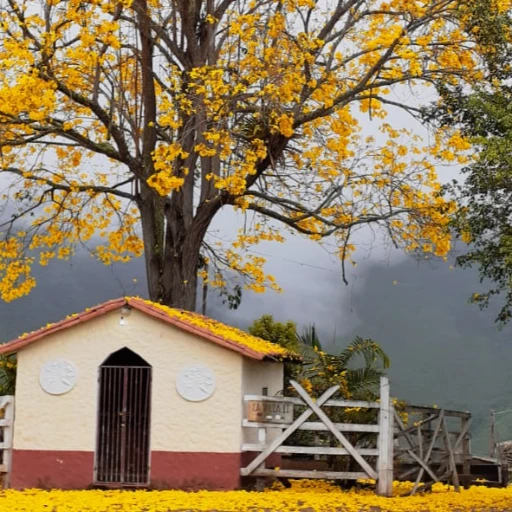 Municipio José Maria Vargas, Edo. Táchira