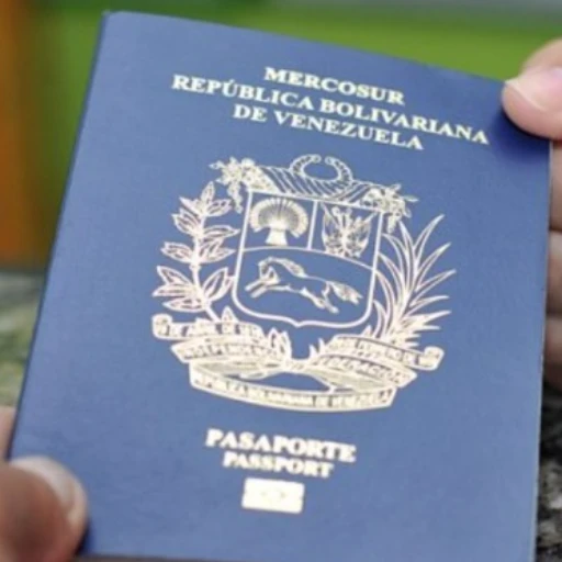 El documento podrá ser entregado en un plazo máximo de 72 horas hábiles.