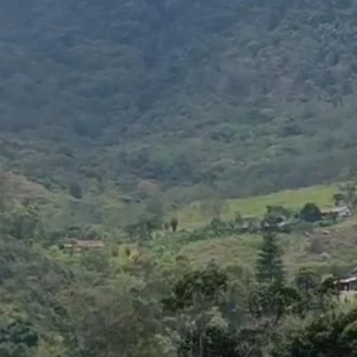 Caserio Paramo Viejo Capacho Viejo